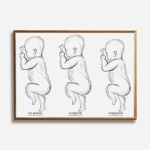 Birth Poster Scale Multiple Babies